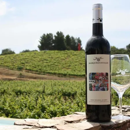 Andorinha Портиман