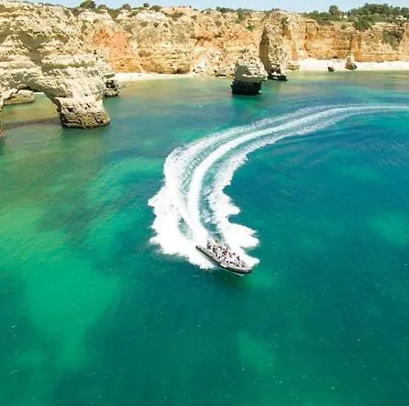 Andorinha Портиман