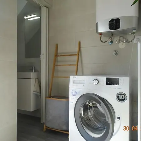 Andorinha Willa Portimão