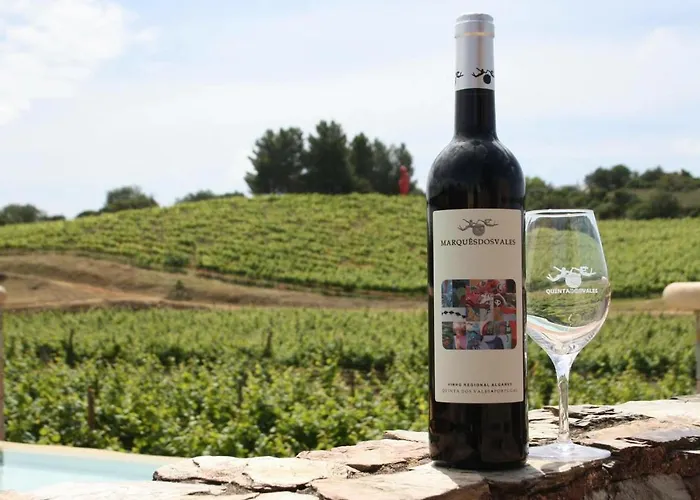 Andorinha פורטימאו